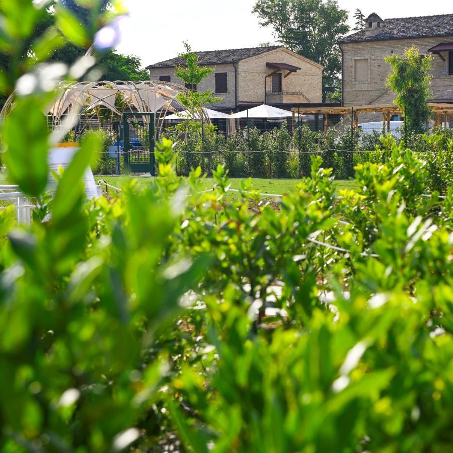 Moretti Village - Sophie * Civitanova Marche